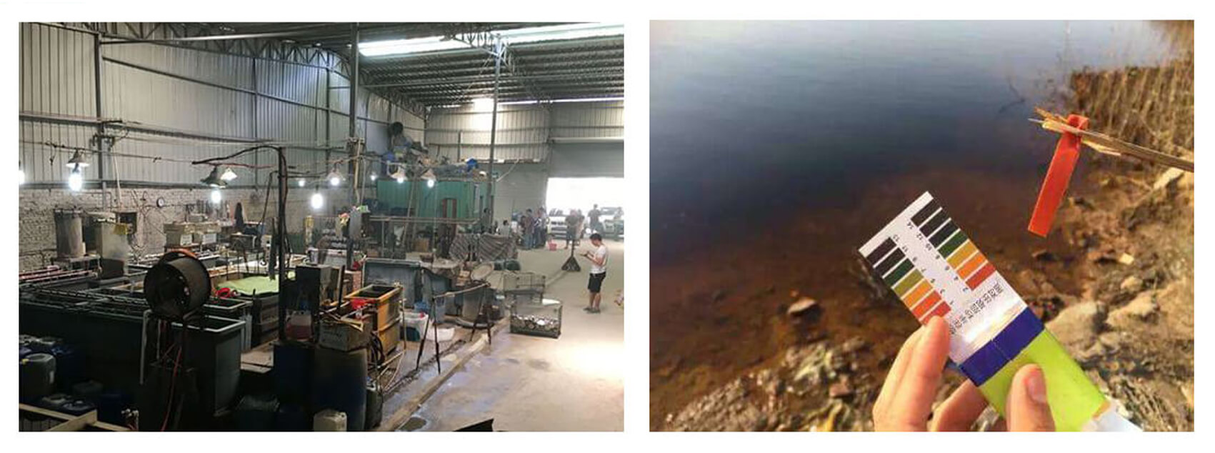 Environmental Protection Inspection-2
