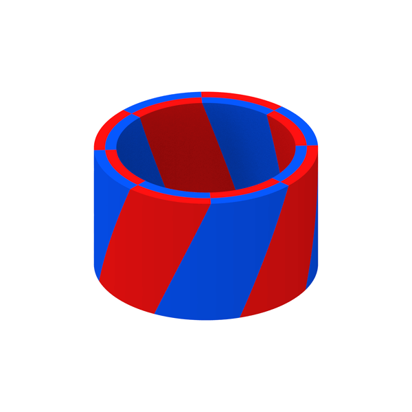 Skewed Magnetization